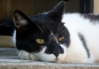 P7225754a.jpg